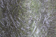 Aarons Hill fibreglass roof work